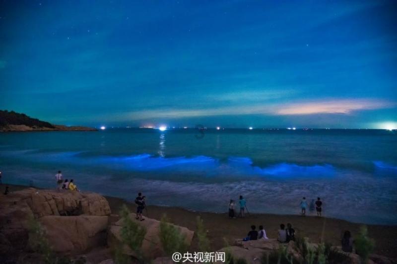 hahabetcom官网星辰大海
